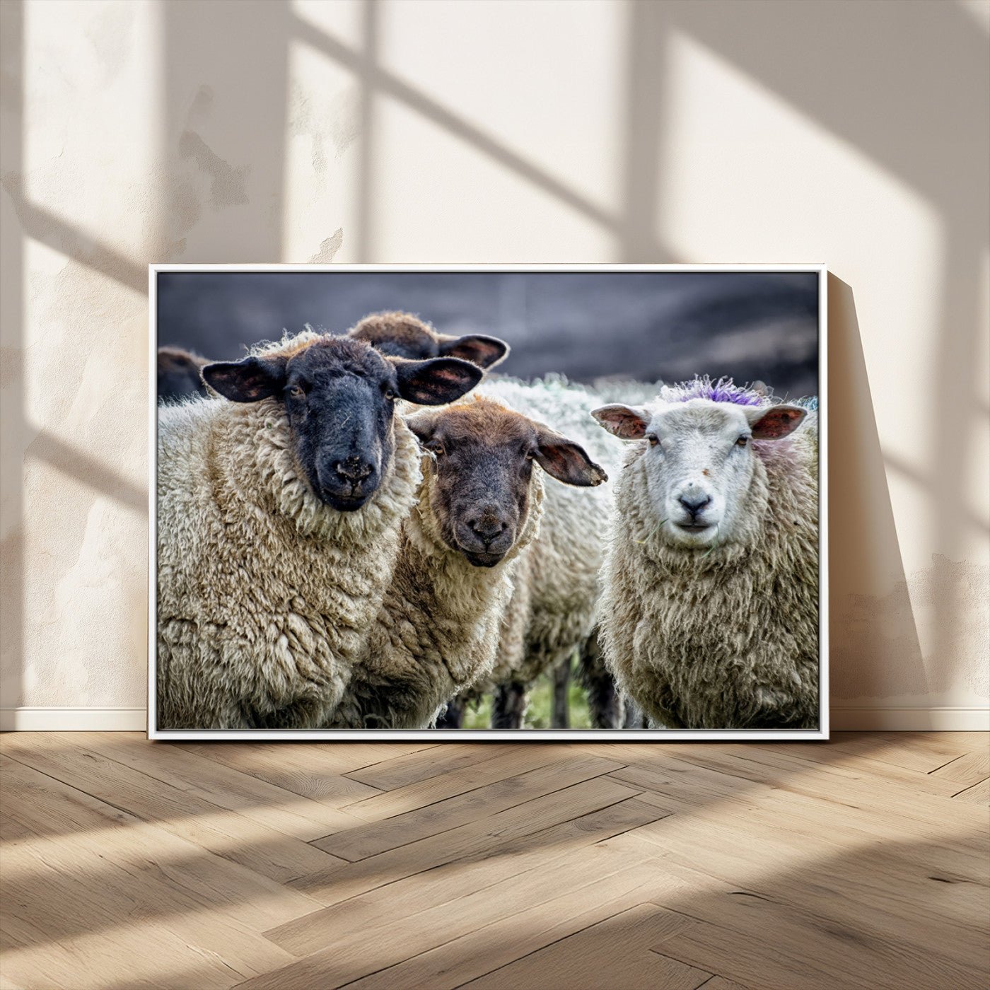 18418-MGV-FC-36X24_White-Charming Sheep Portrait Wall Art – Trio of Woolly Companions Canvas Print, Framed, Ready to Hang
