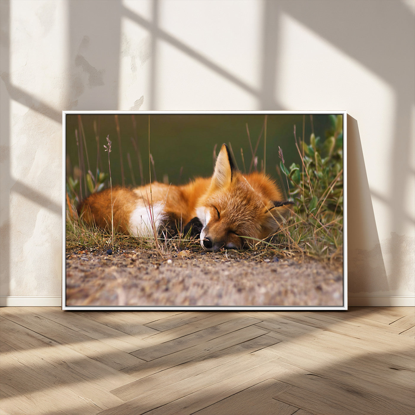 -Sleeping Fox Wall Art Canvas Print, Farmhouse Wall Decor and Animal Wall Art Print