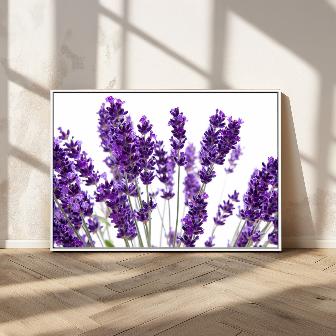 MGV-FC-36X24 - Lavender Flower Wall Art Canvas Print