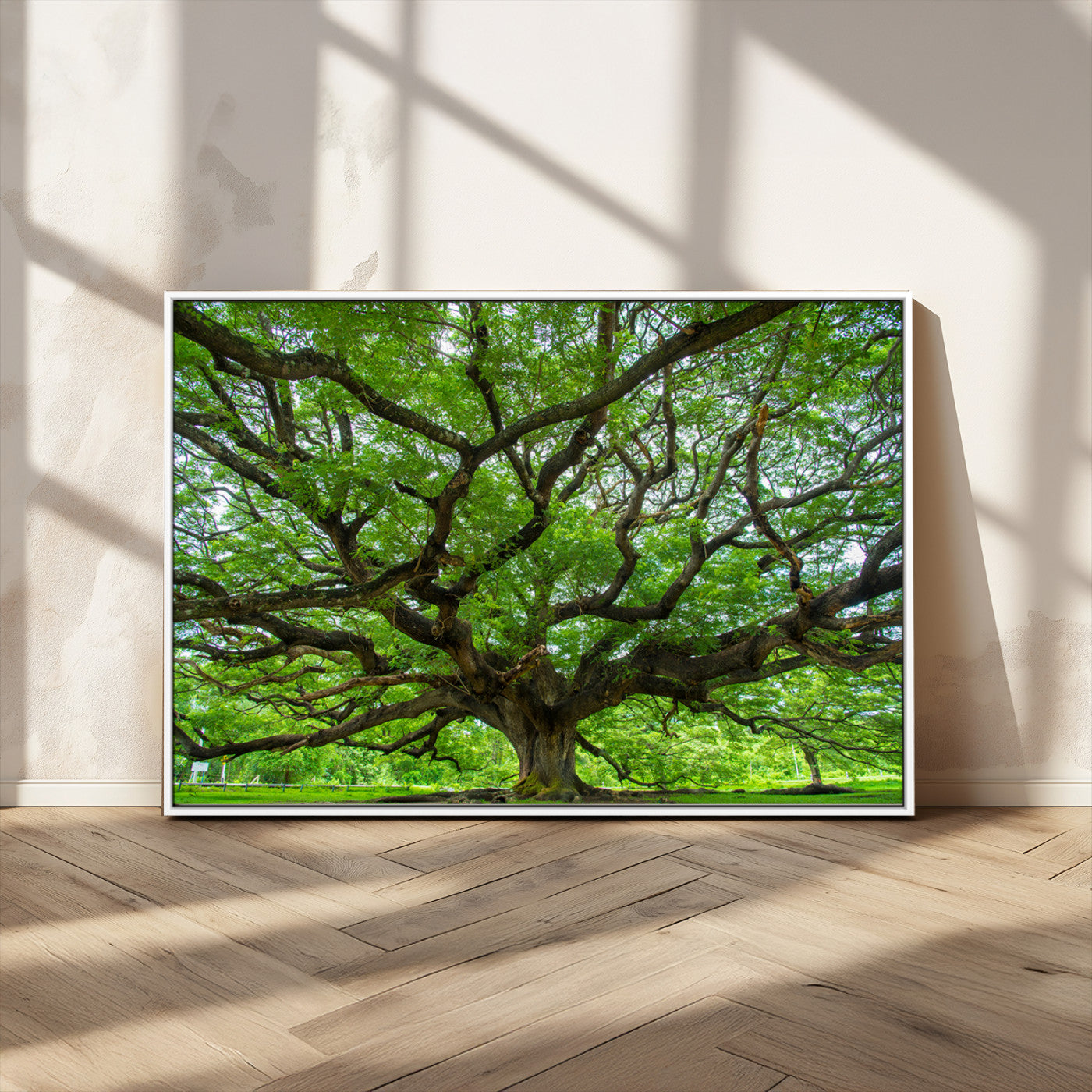 MGV-FC-36X24 - Ancient Tree Wall Art Canvas Print, Framed Sprawling Branches Art Picture Print, Gnarling Tree Perfect Earthy Natural Decor Artwork