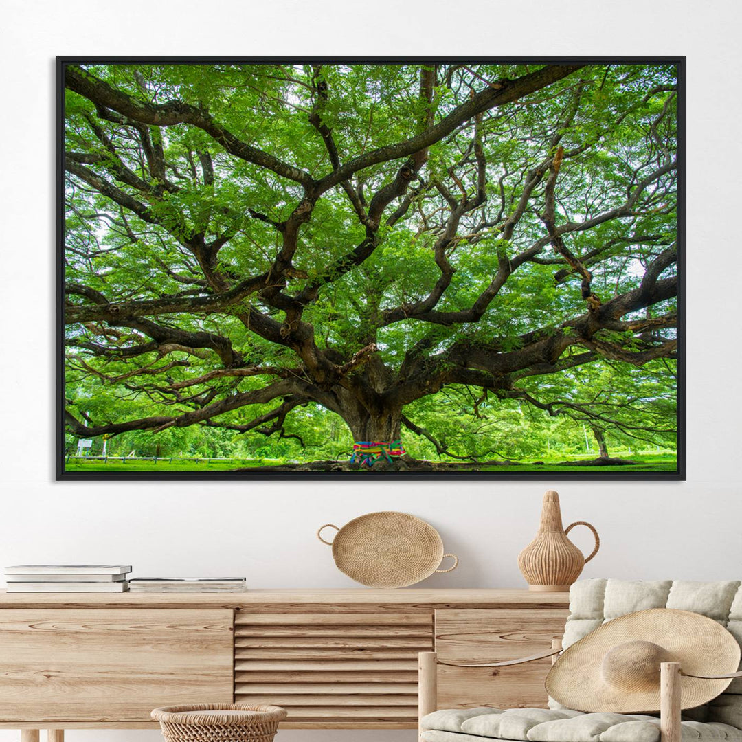 Oak Tree Wall Art Print, Forest Canvas Wall Art for Home and Office, Framed Angel Oak Tree Canvas Art Printing