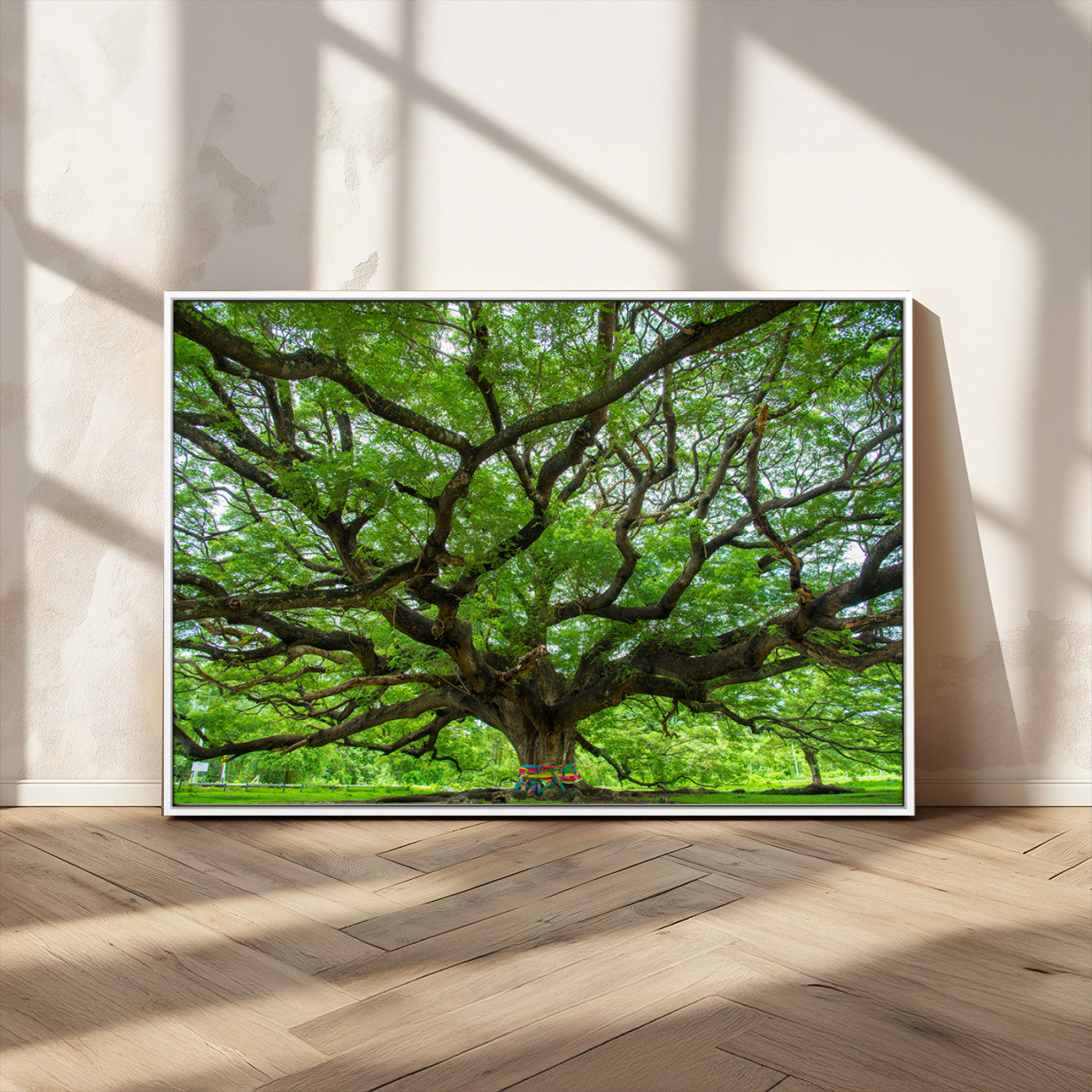 MGV-FC-36X24 - Oak Tree Wall Art Print, Forest Canvas Wall Art for Home and Office, Framed Angel Oak Tree Canvas