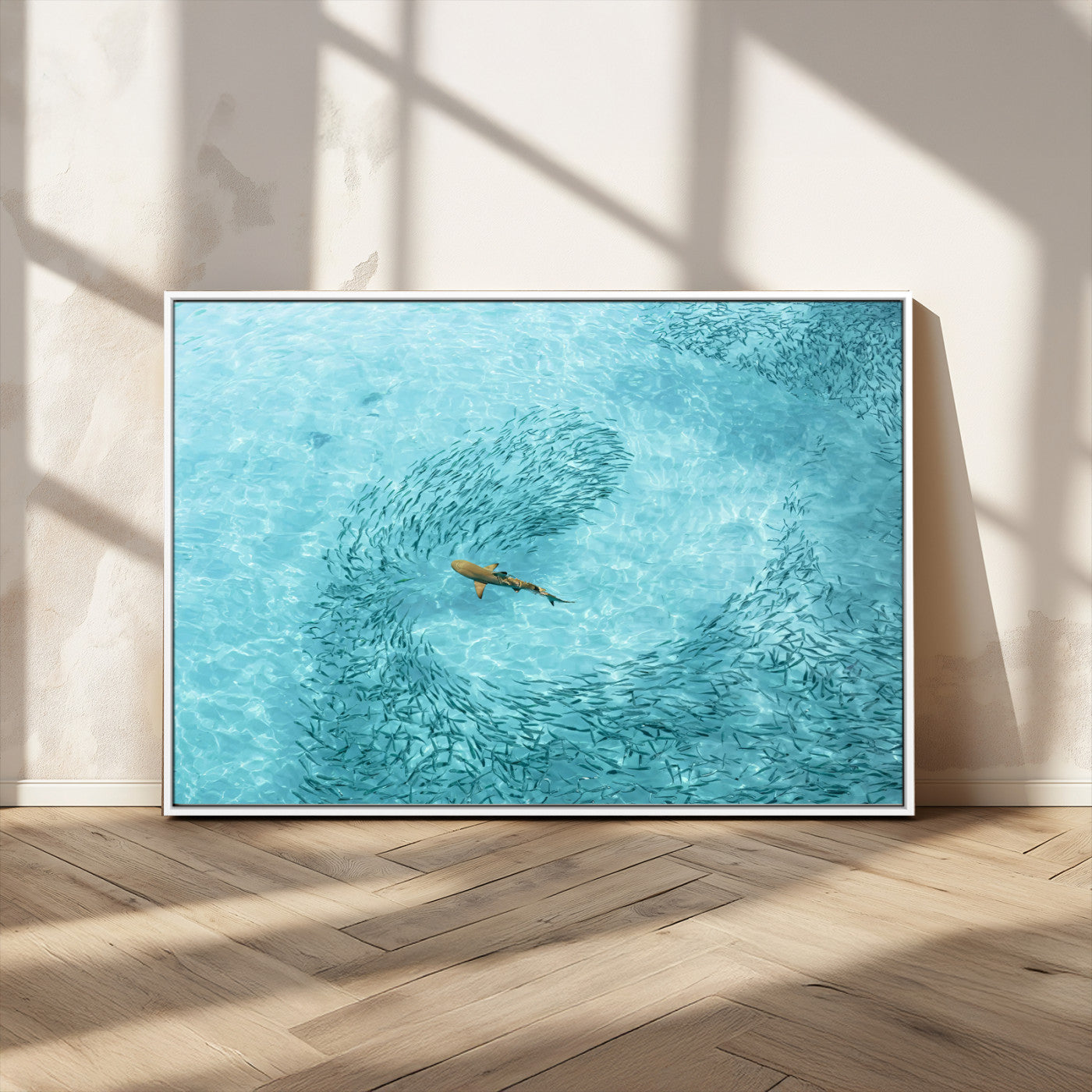 Aerial view of a shark swimming through a swirl of fish in clear turquoise waters, perfect for calm coastal or beach house decor.