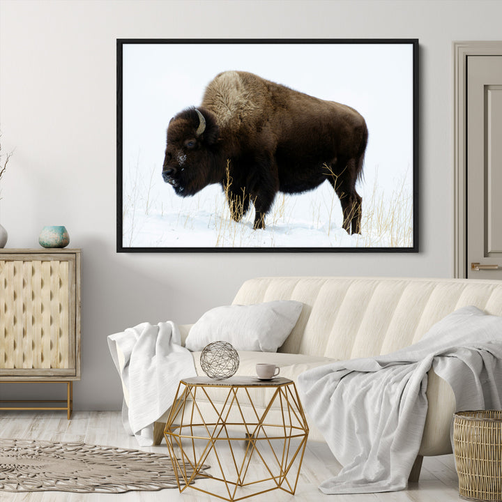 Bison Photography Wall Art Canvas Print, Framed Western Wildlife Art Picture Print, Buffalo On Snow Perfect Western Decor Artwork