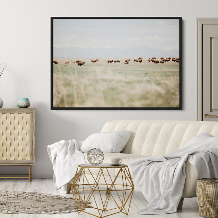 Bison Herd Wall Art Canvas Print, Framed Western Art Picture Print, Bison Perfect Ranch Decor Artwork