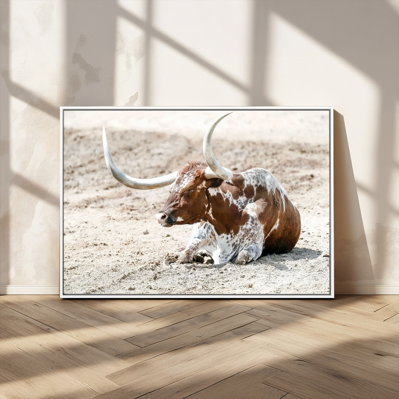 MGV-FC-36X24 - Majestic Longhorn Resting on Sunlit Desert Ground – Striking Western-Themed Wall Art Canvas Print