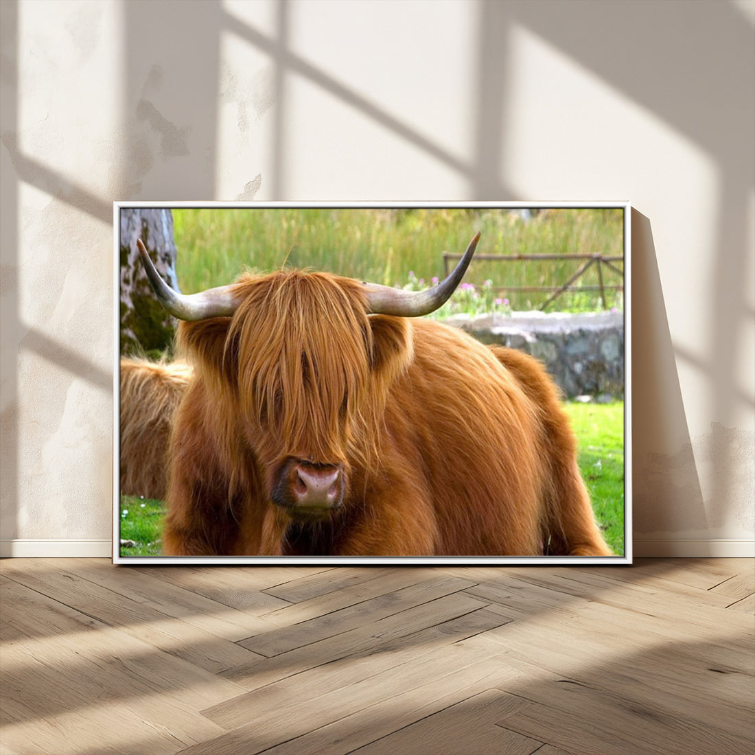 Highland Cow Wall Art, Rustic Farm Animal Canvas Print, Long Hair Cow in Green Pasture