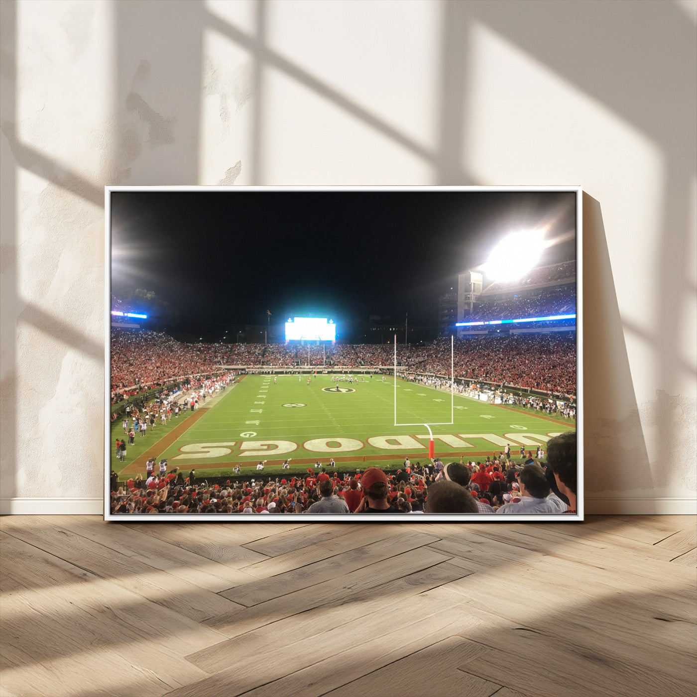 Dooley Stadium Wall Art Print, Sports Arena Canvas Wall Art, Panoramic Stadium Canvas Print, Modern Athletic Field Art Printing