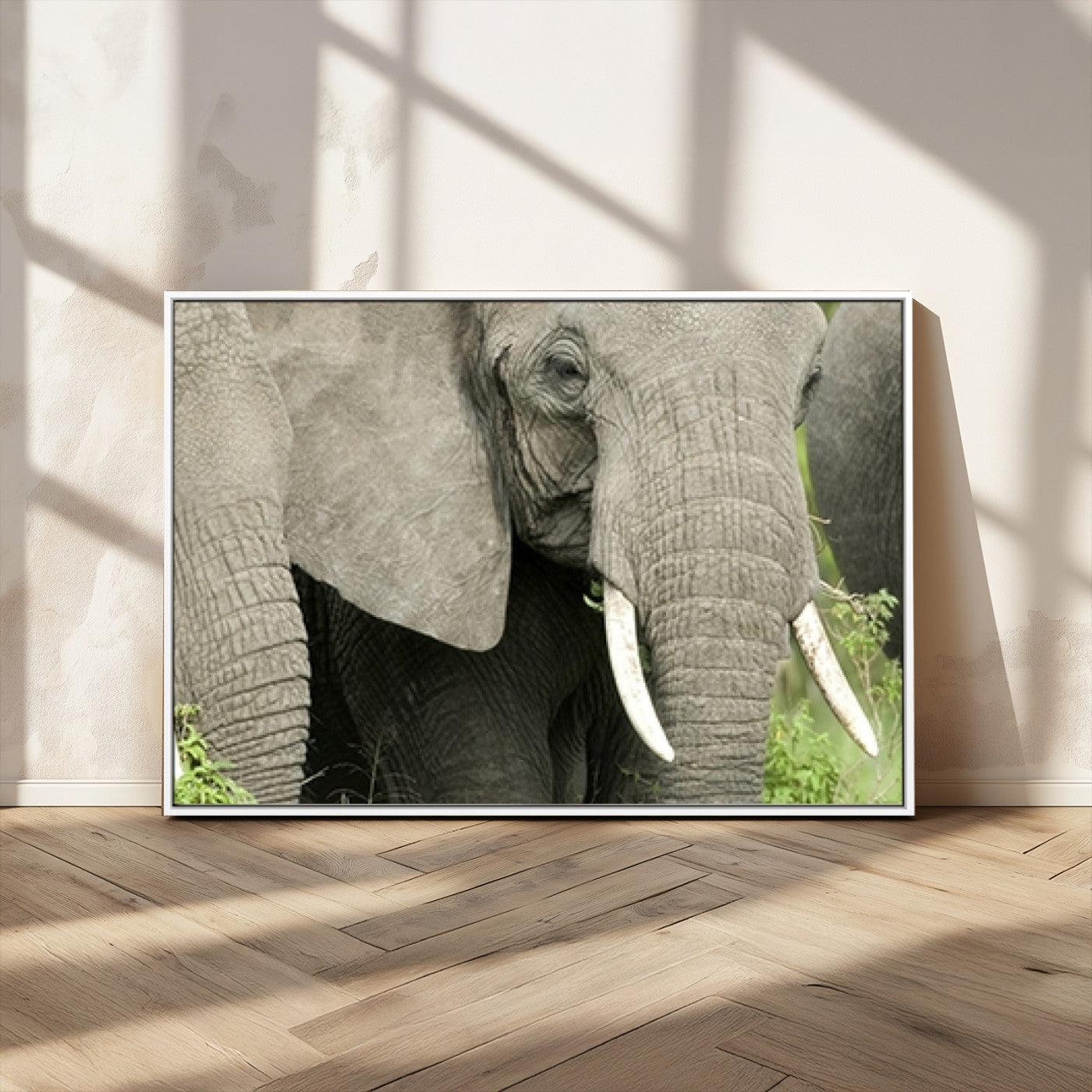 MGV-FC-36X24 - Wild Elephant Wall Art Canvas Print