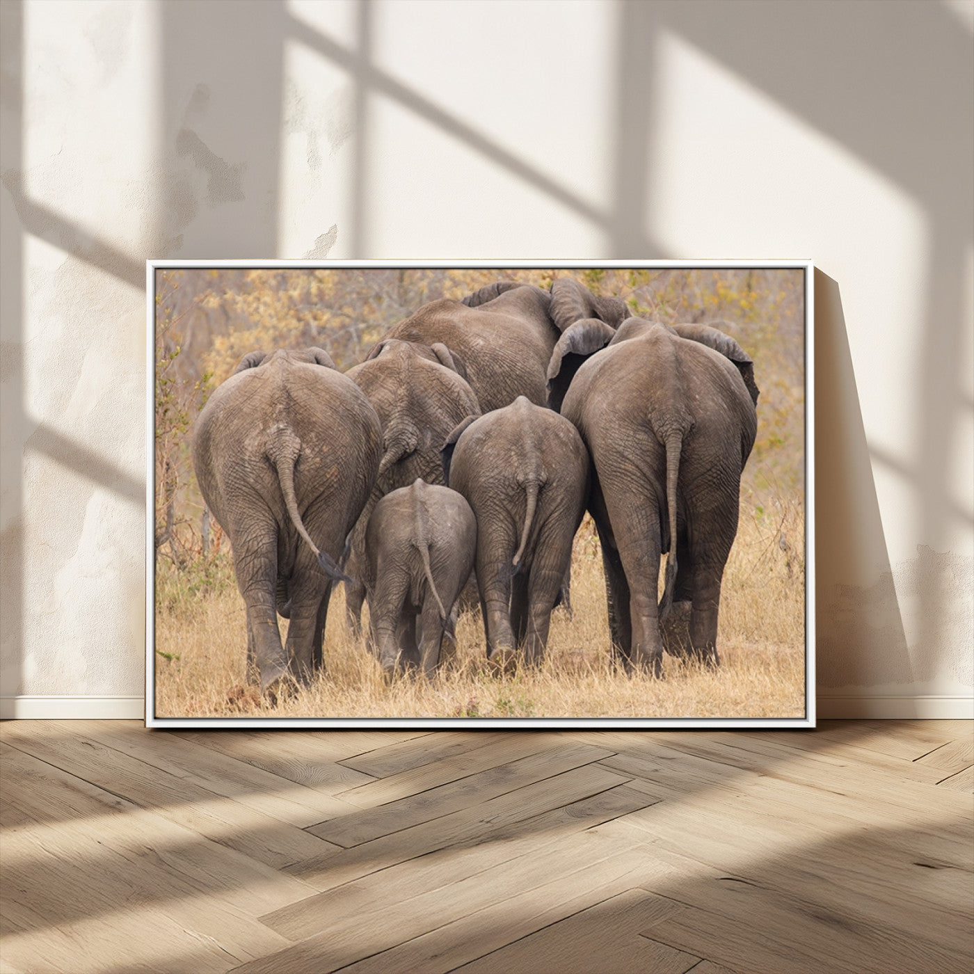 MGV-FC-36X24 - Wild Elephant Wall Art Canvas Print
