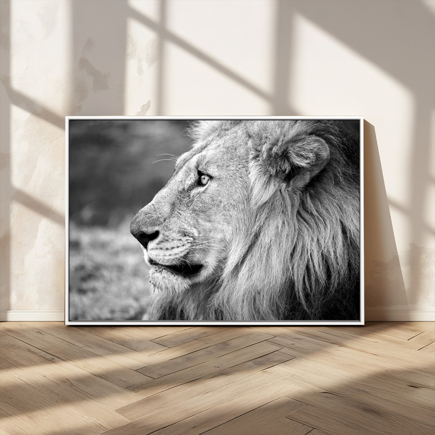 MGV-FC-36X24 - African Lion Wall Art Canvas Print