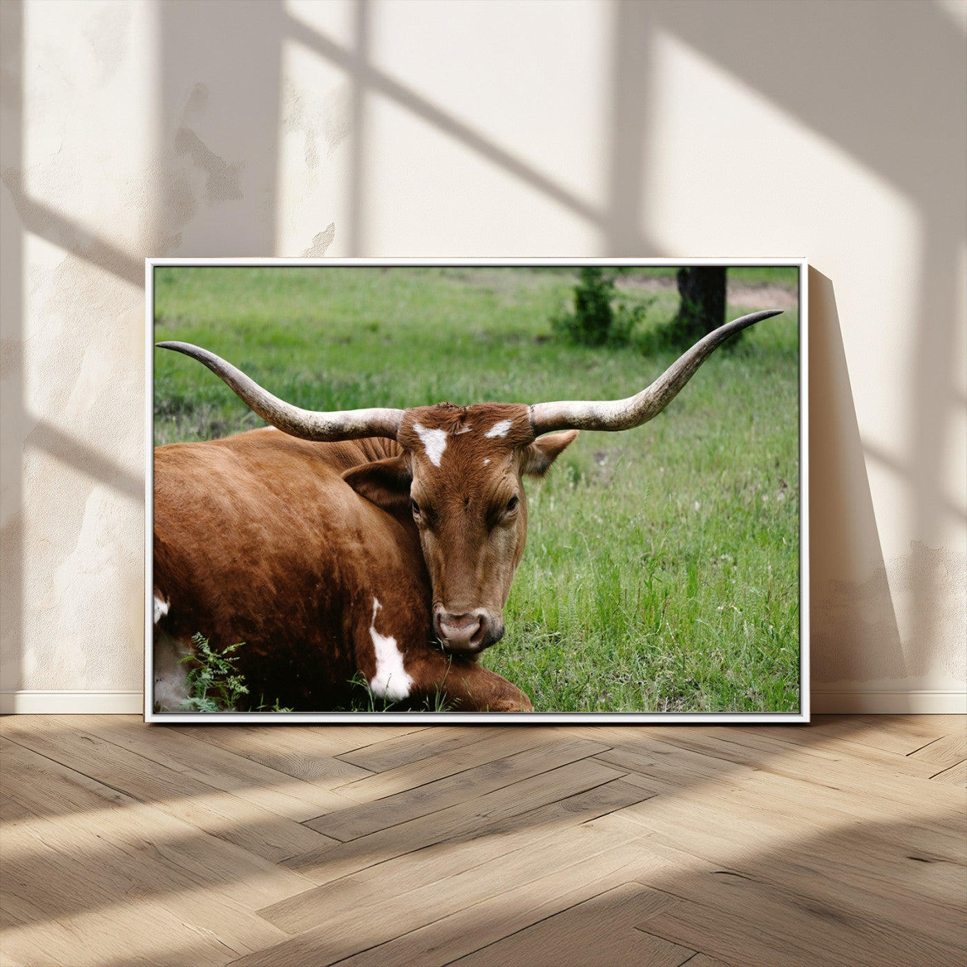 MGV-FC-36X24 - Longhorn Cow Animal Wall Art Canvas Print