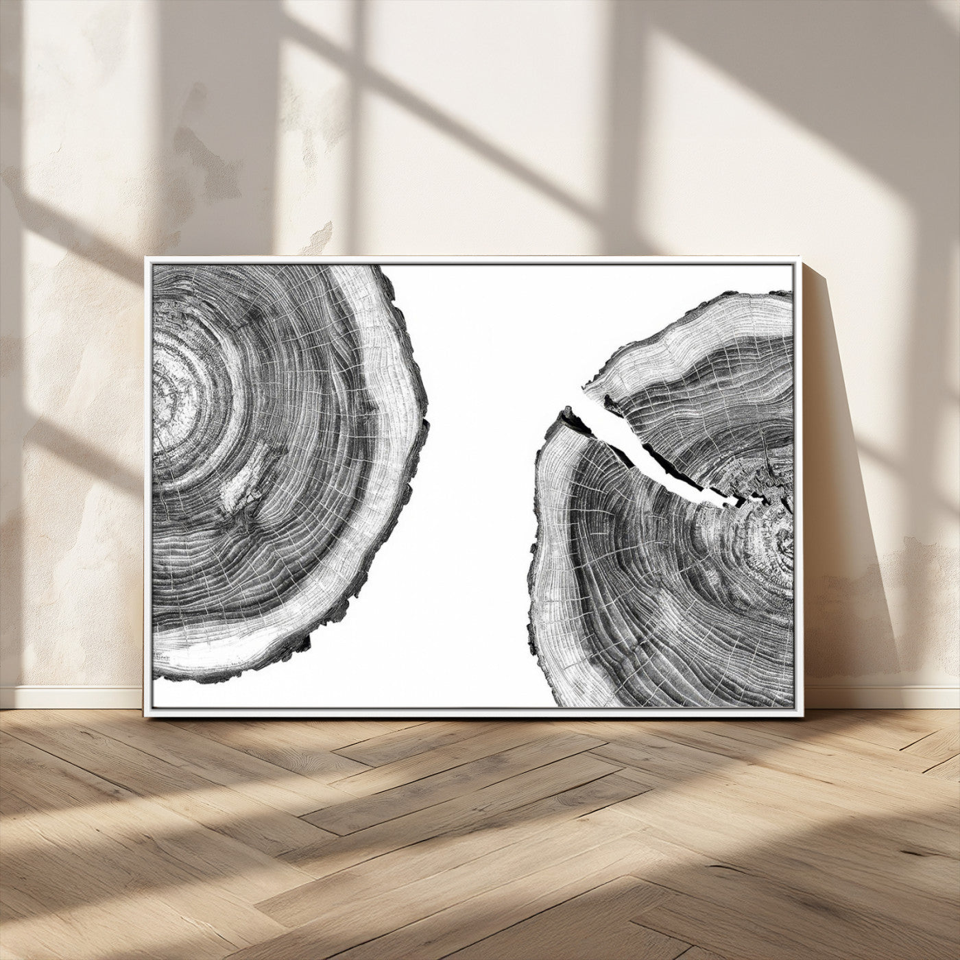 MGV-FC-36X24 - Abstract Large Tree Rings – Minimalist Black and White Wood Art | Triptych Canvas, Modern Wall Decor