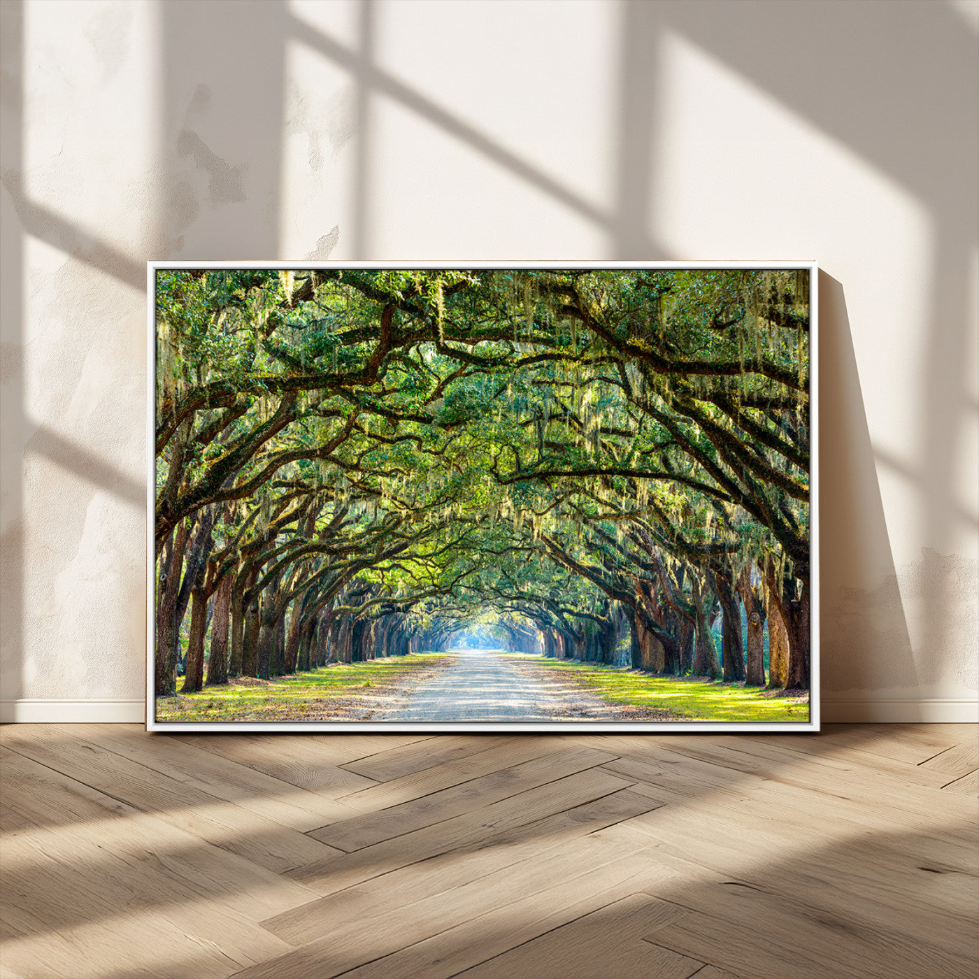 MGV-FC-36X24 - Wormsloe State Plantation Driveway Wall Art Canvas Print
