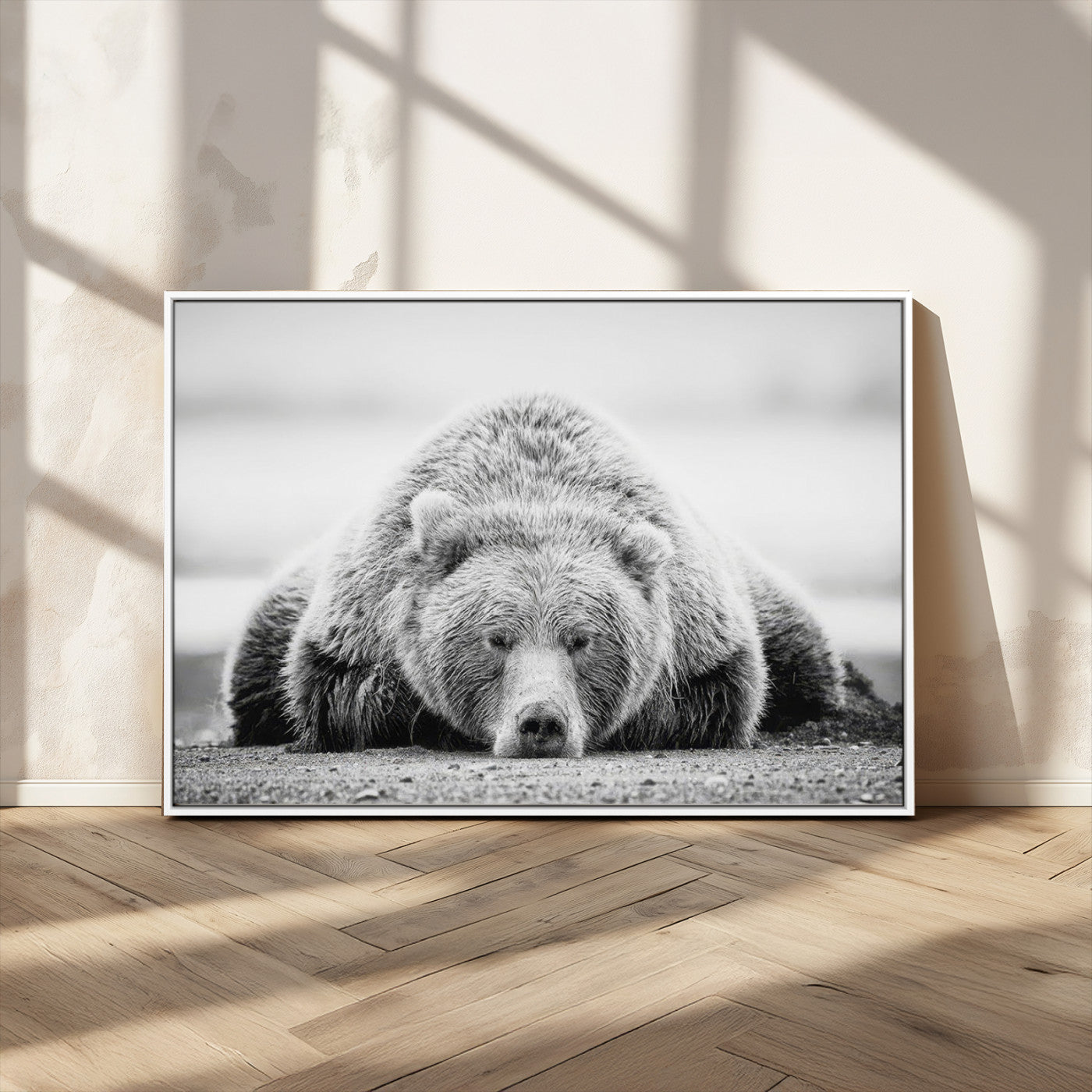 MGV-FC-36X24 - Resting Grizzly Bear Wall Art Canvas Print – Majestic Lazy Black and White Wildlife Bear Art,
