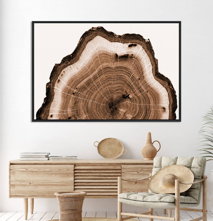 Close-up of the Rustic Wood Rings Wall Art featuring detailed tree rings and natural texture on a plain white background.