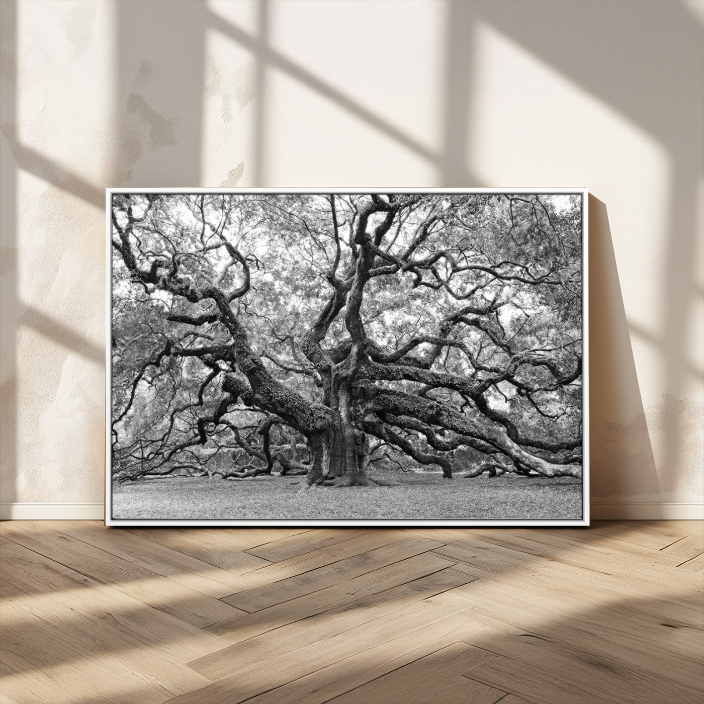 MGV-FC-36X24 - Black White Angel Oak Tree Wall Art - Timeless Nature-Inspired Canvas for Rustic, Modern, or