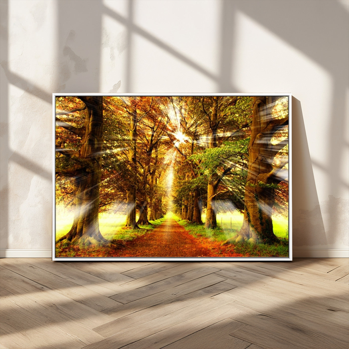 -Sunshine in Forest and Trees Wall Art Canvas Print