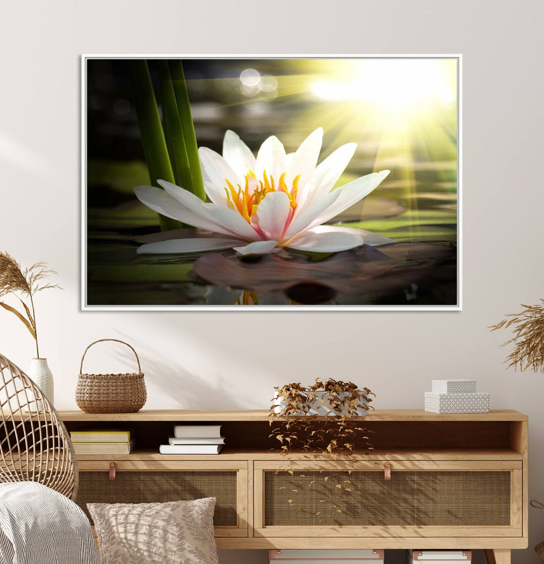 The Lotus Flower Wall Art Canvas Print showcases a white water lily with a yellow center floating gracefully in sunlight.