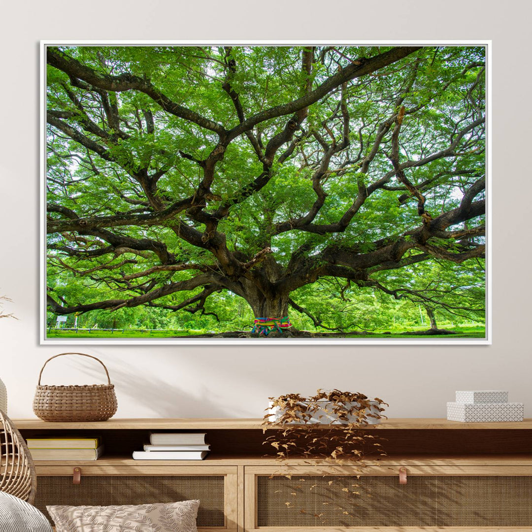 Oak Tree Wall Art Print, Forest Canvas Wall Art for Home and Office, Framed Angel Oak Tree Canvas Art Printing