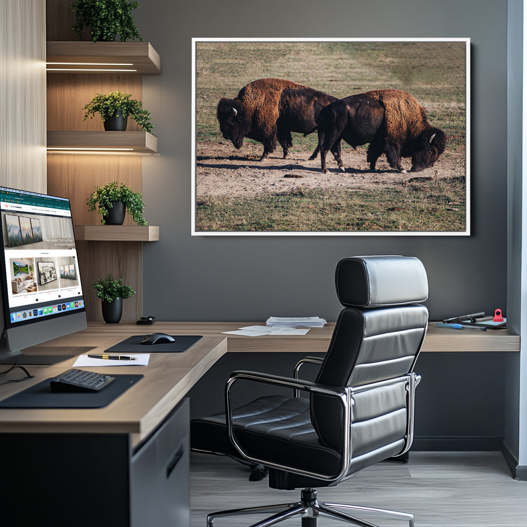 Bison Photography Wall Art Canvas Print, Framed Western Wildlife Art Picture Print, Modern Ranch Perfect Western Rustic Decor Artwork