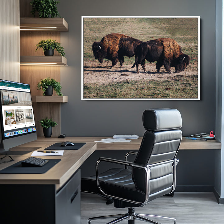 Bison Photography Wall Art Canvas Print, Framed Western Wildlife Art Picture Print, Modern Ranch Perfect Western Rustic Decor Artwork