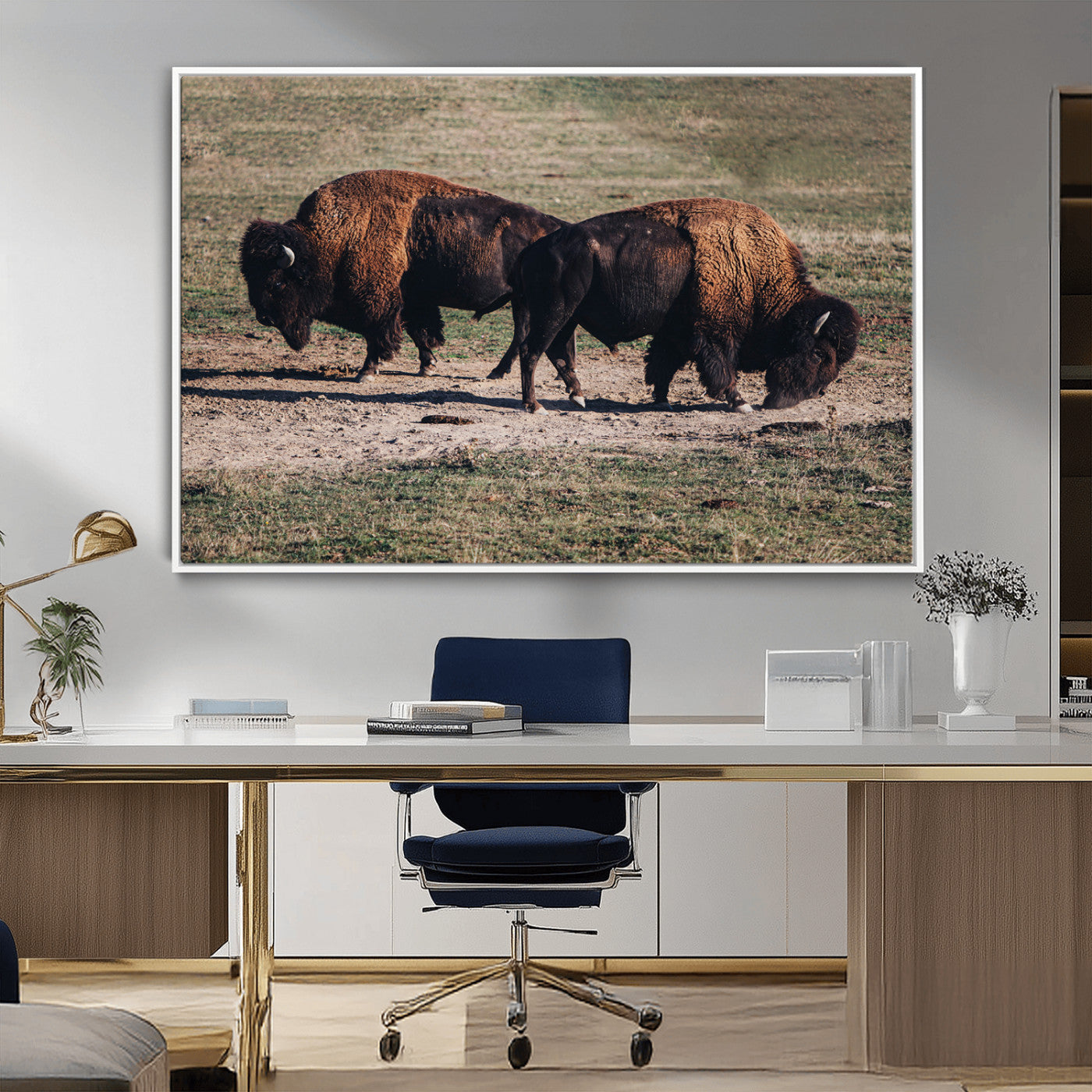 Two bison grazing in an open prairie with dry grass under the sunlight, creating a rustic and Western wildlife scene.