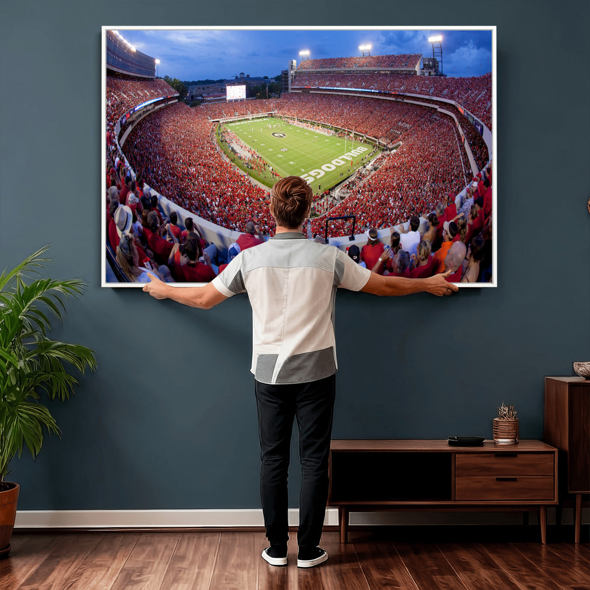 10244378-MGV-CV-36X24 - Dooley Stadium Wall Art, Sports Arena Canvas Print, Dooley Field, Home Bar Wall Decor