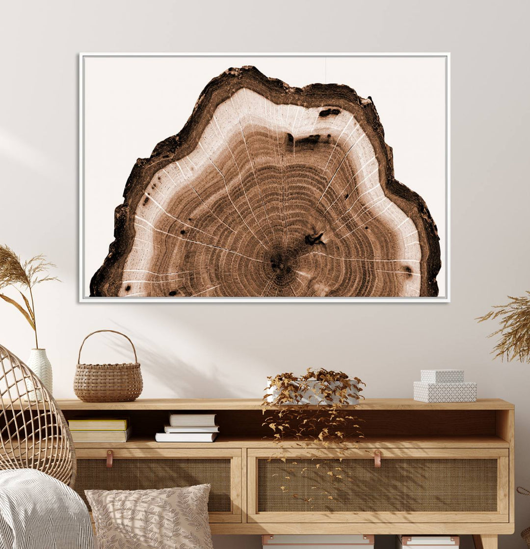 Close-up of the Rustic Wood Rings Wall Art featuring detailed tree rings and natural texture on a plain white background.