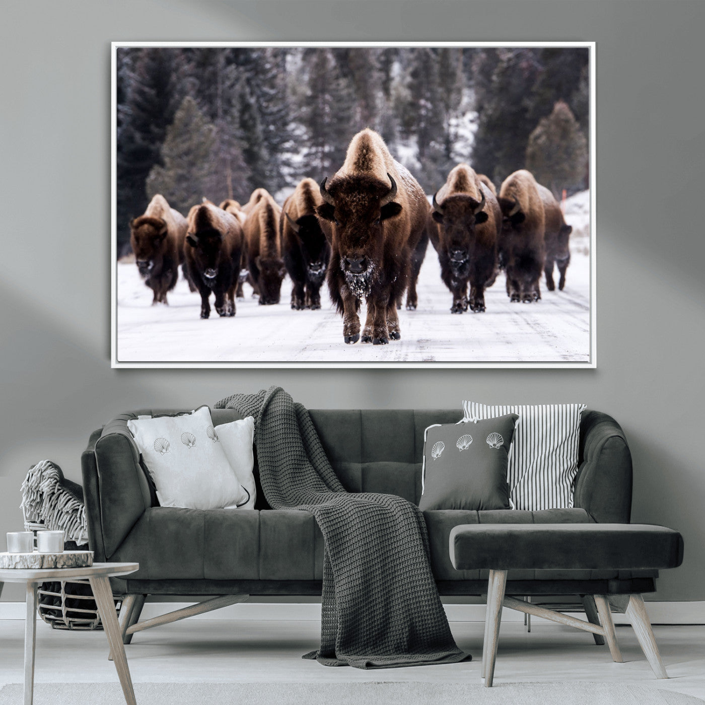 MGV-FC-36X24 - Bison Wall Art Canvas Print- Bison Herd Canvas Wall Art – Majestic Wildlife Photography – Framed and Ready to Hang Nature-Inspired Art - Buffalo Wall Art Print