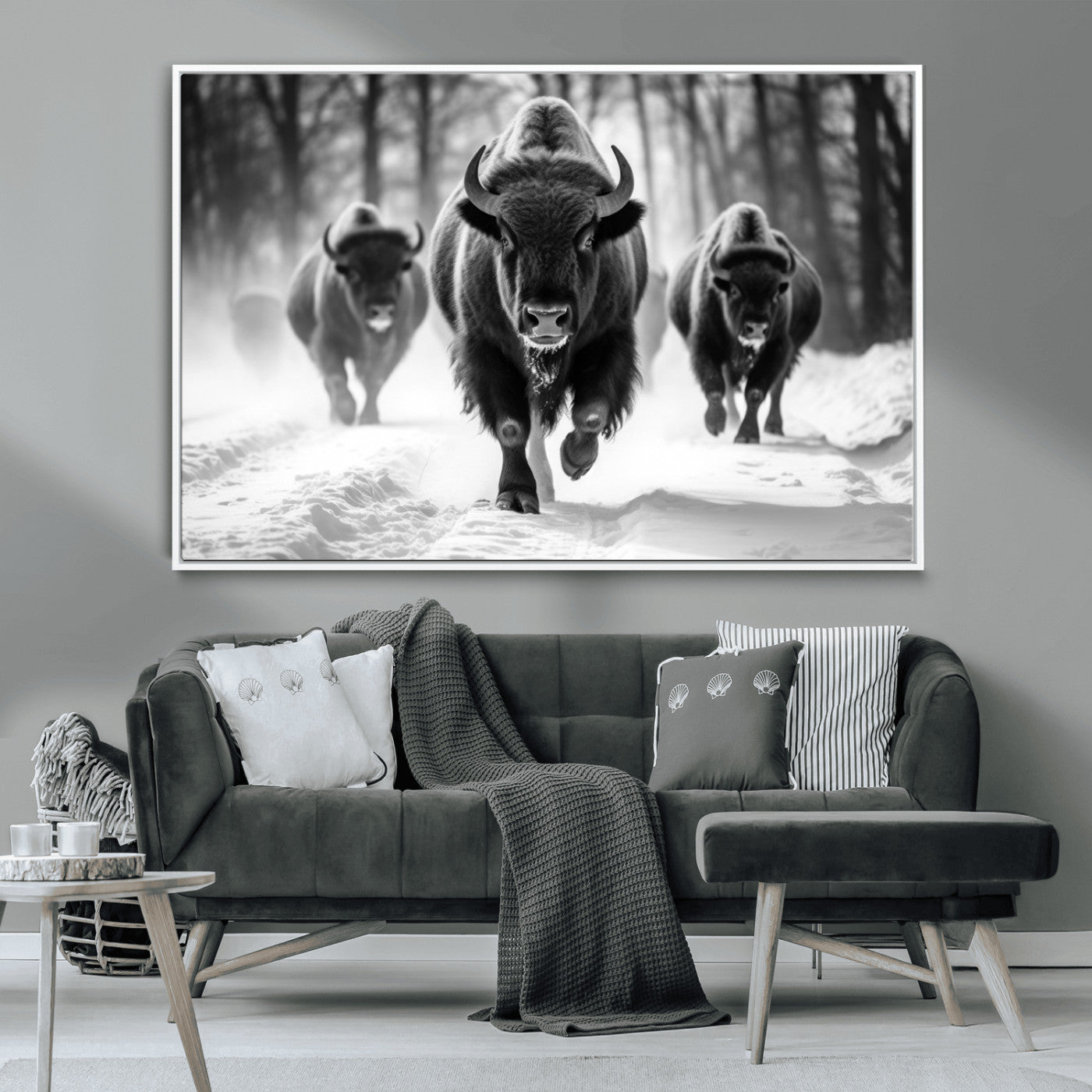 MGV-FC-36X24 - Buffalo Wall Art Canvas Print, Bison Family Wall Art Canvas Print