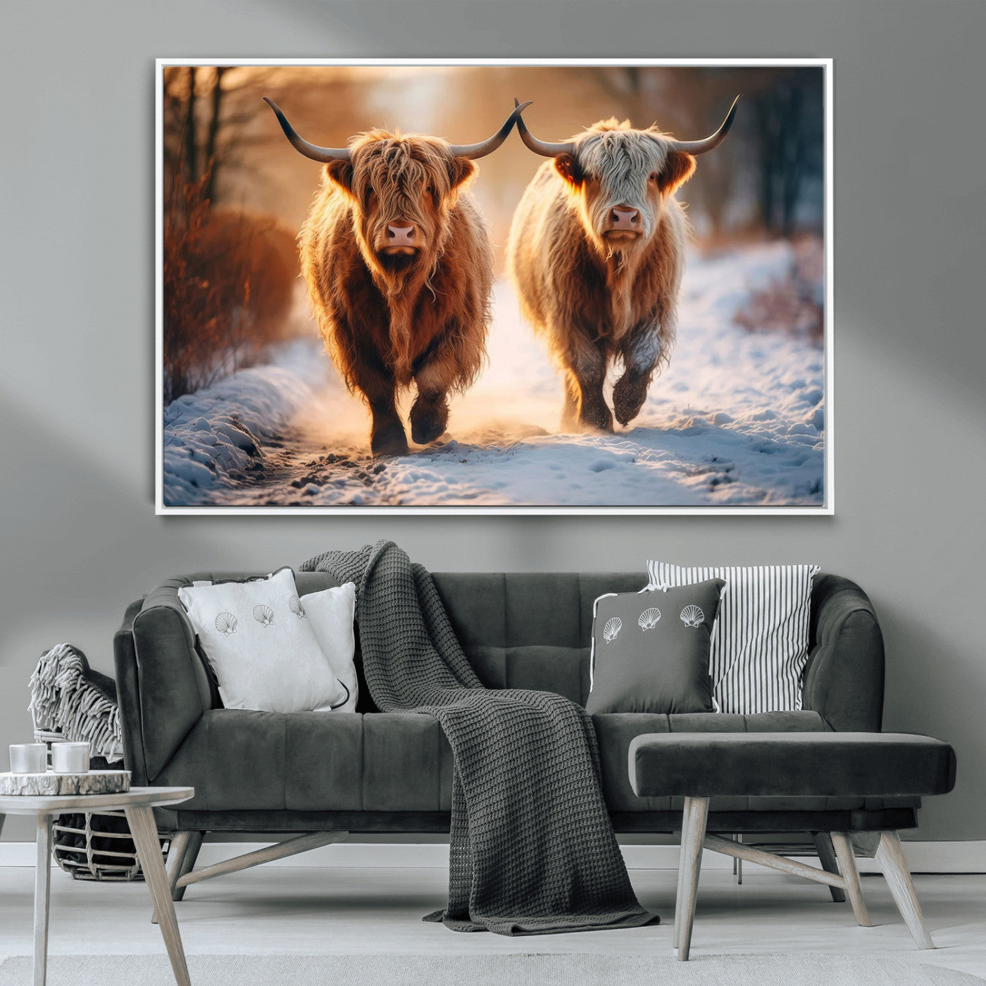 MGV-FC-36X24 - Scottish Highland Cow Horn Farm Wall Art Canvas Print