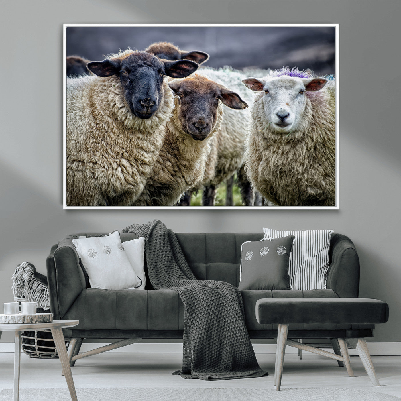 -Charming Sheep Portrait Wall Art – Trio of Woolly Companions Canvas Print, Framed, Ready to Hang