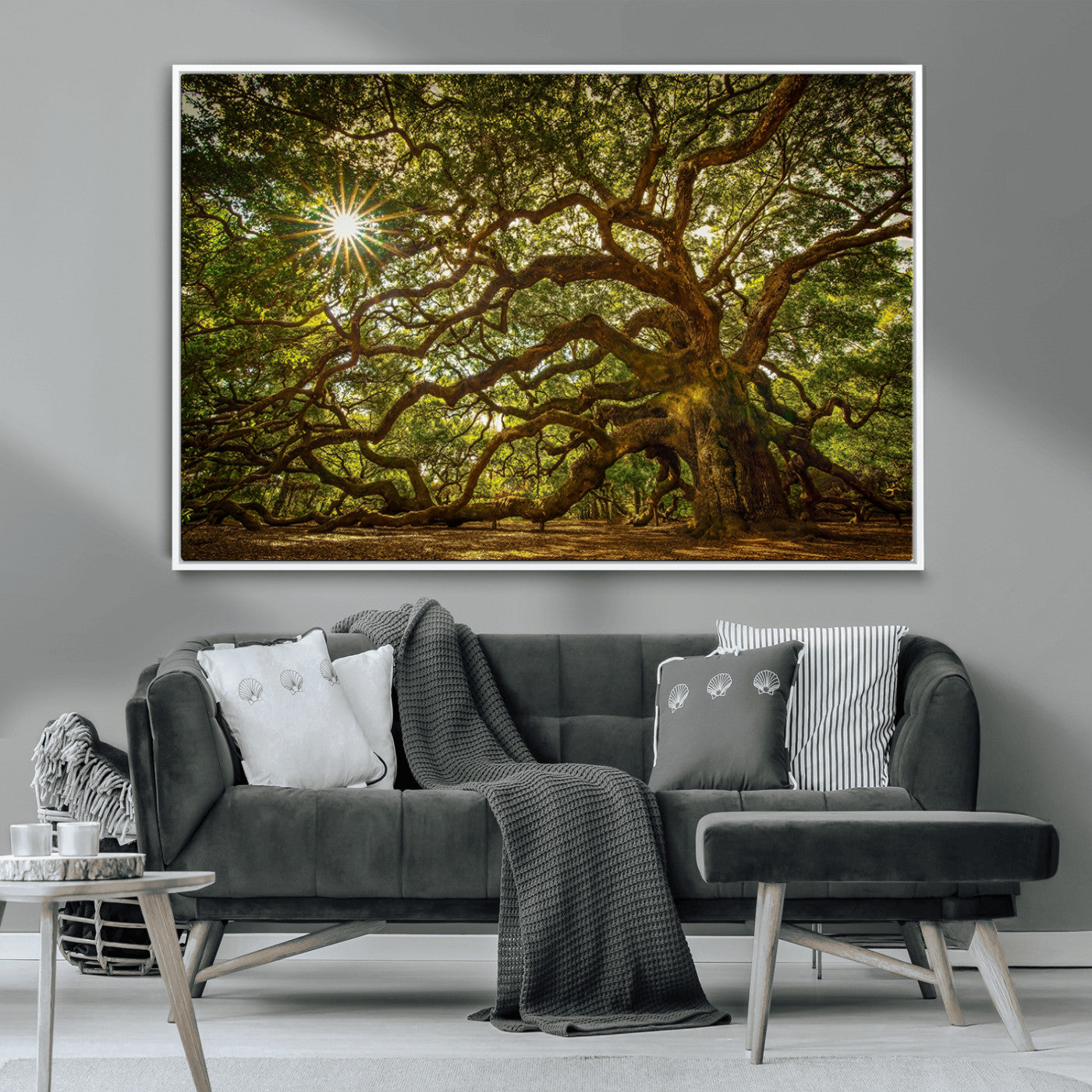 MGV-FC-36X24 - Ancient Angel Oak Tree Art Sunburst Canvas Print- Nature-Inspired Triptych Canvas Print, Framed, Ready to Hang