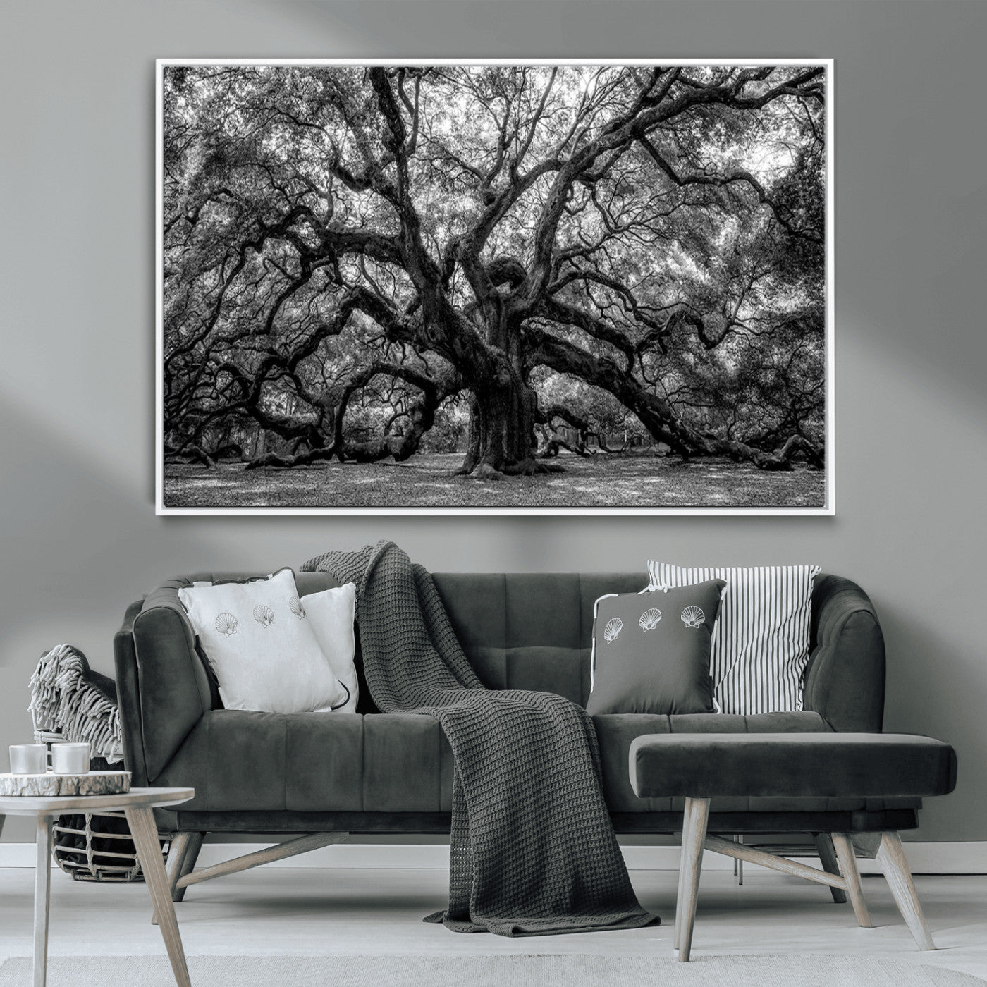 MGV-FC-36X24 - Black and White Old Angel Oak Tree Wall Art Canvas Print