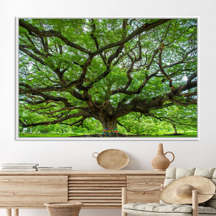 Oak Tree Wall Art Print, Forest Canvas Wall Art for Home and Office, Framed Angel Oak Tree Canvas Art Printing