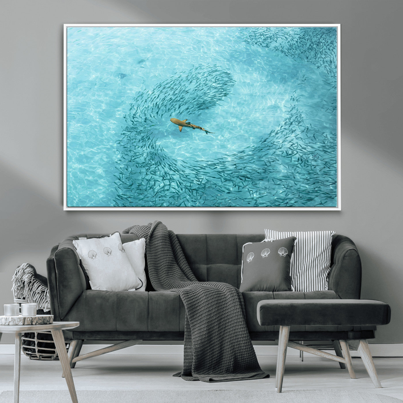 Aerial view of a shark swimming through a swirl of fish in clear turquoise waters, perfect for calm coastal or beach house decor.