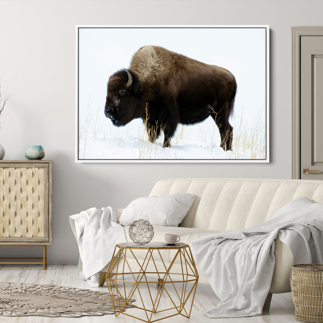 Bison Photography Wall Art Canvas Print, Framed Western Wildlife Art Picture Print, Buffalo On Snow Perfect Western Decor Artwork