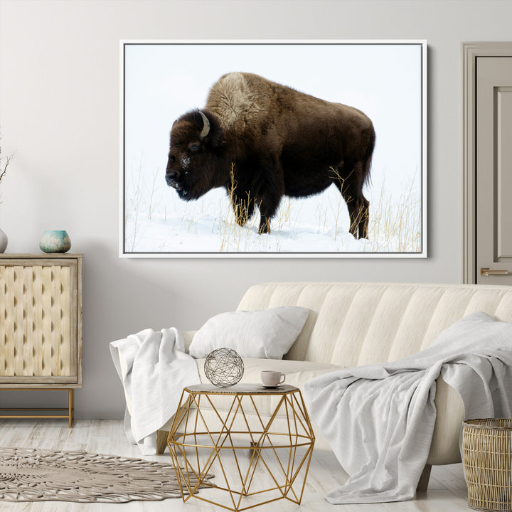 Bison Photography Wall Art Canvas Print, Framed Western Wildlife Art Picture Print, Buffalo On Snow Perfect Western Decor Artwork