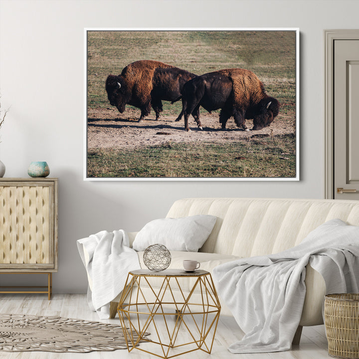 Bison Photography Wall Art Canvas Print, Framed Western Wildlife Art Picture Print, Modern Ranch Perfect Western Rustic Decor Artwork