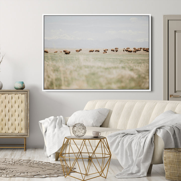 Bison Herd Wall Art Canvas Print, Framed Western Art Picture Print, Bison Perfect Ranch Decor Artwork