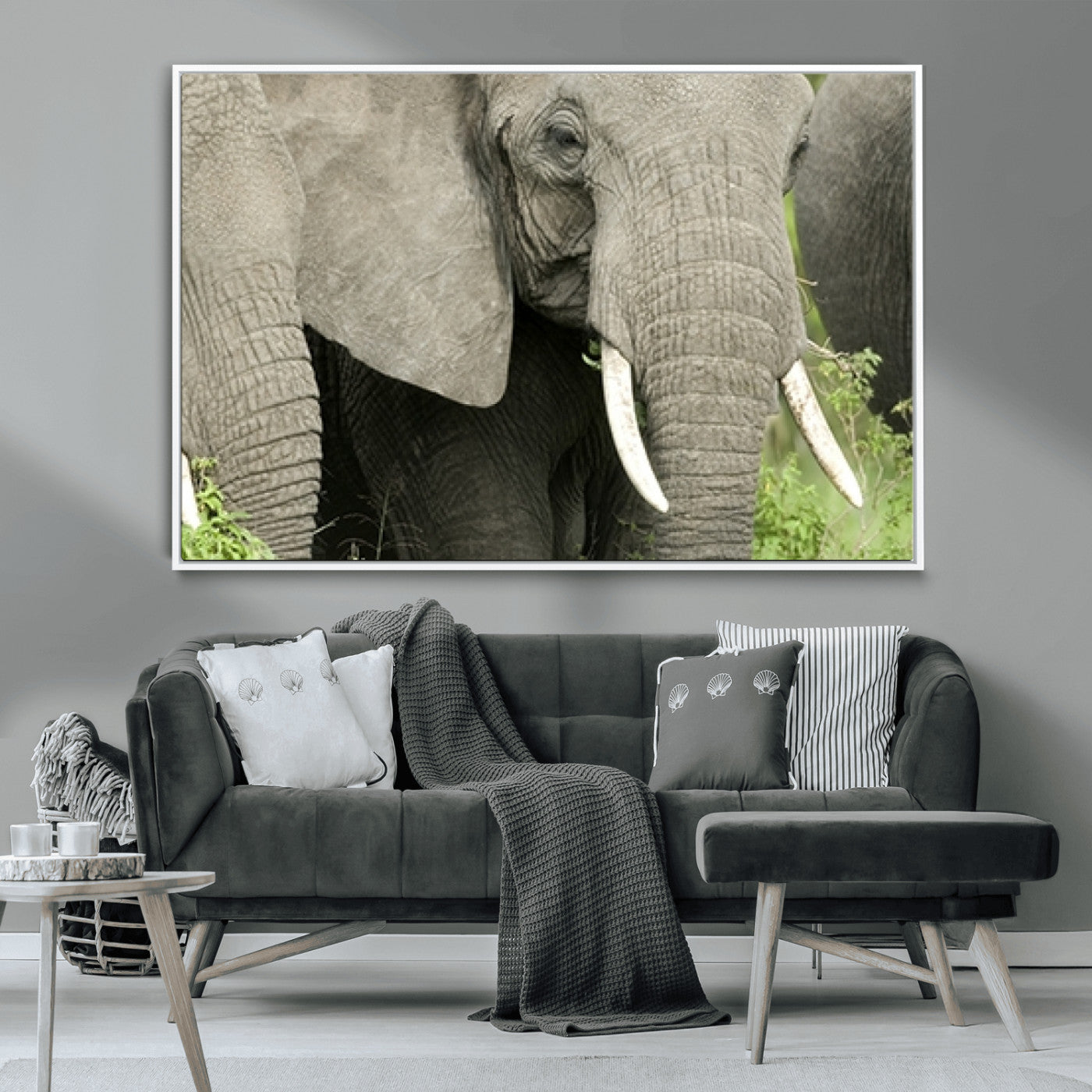 MGV-FC-36X24 - Wild Elephant Wall Art Canvas Print