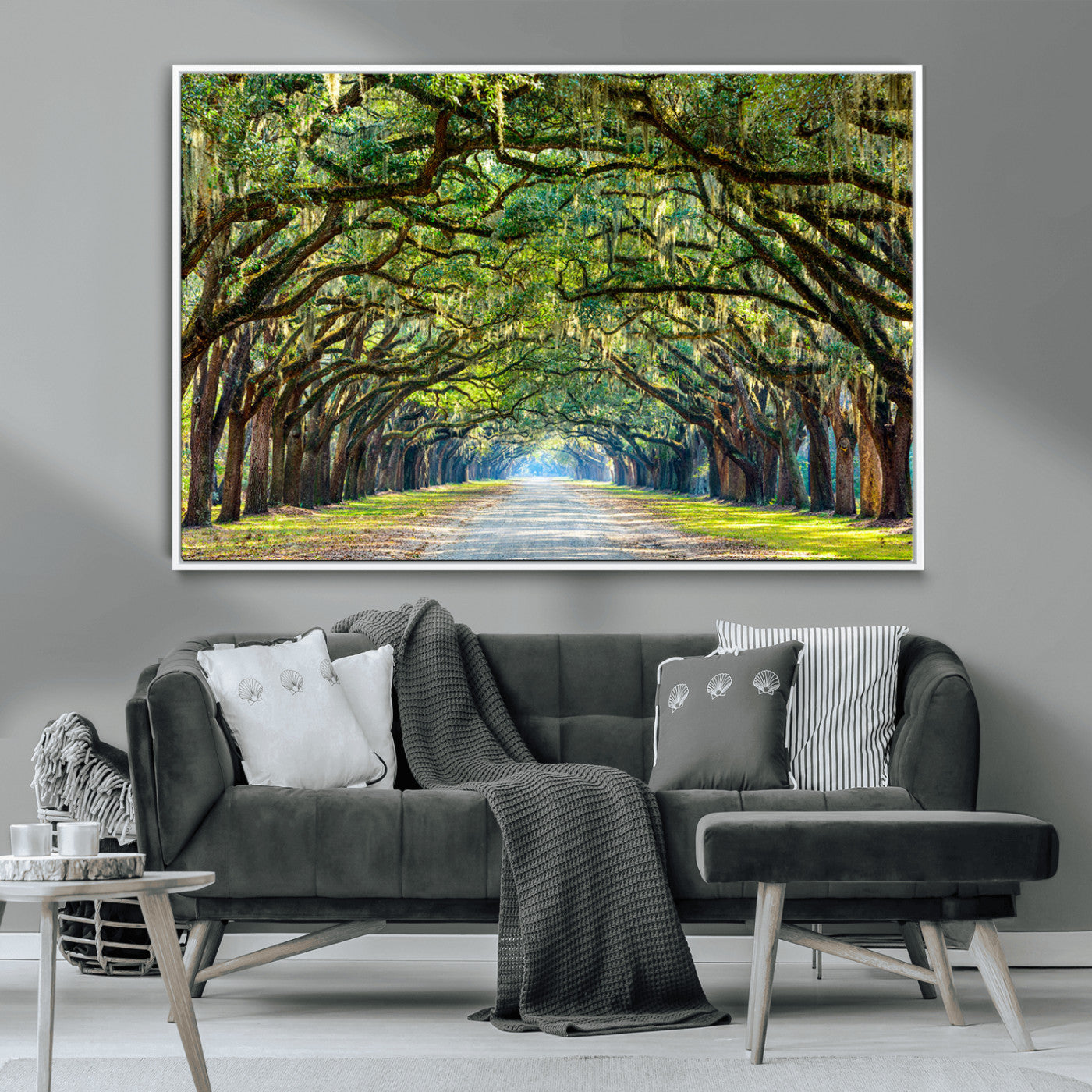 MGV-FC-36X24 - Wormsloe State Plantation Driveway Wall Art Canvas Print