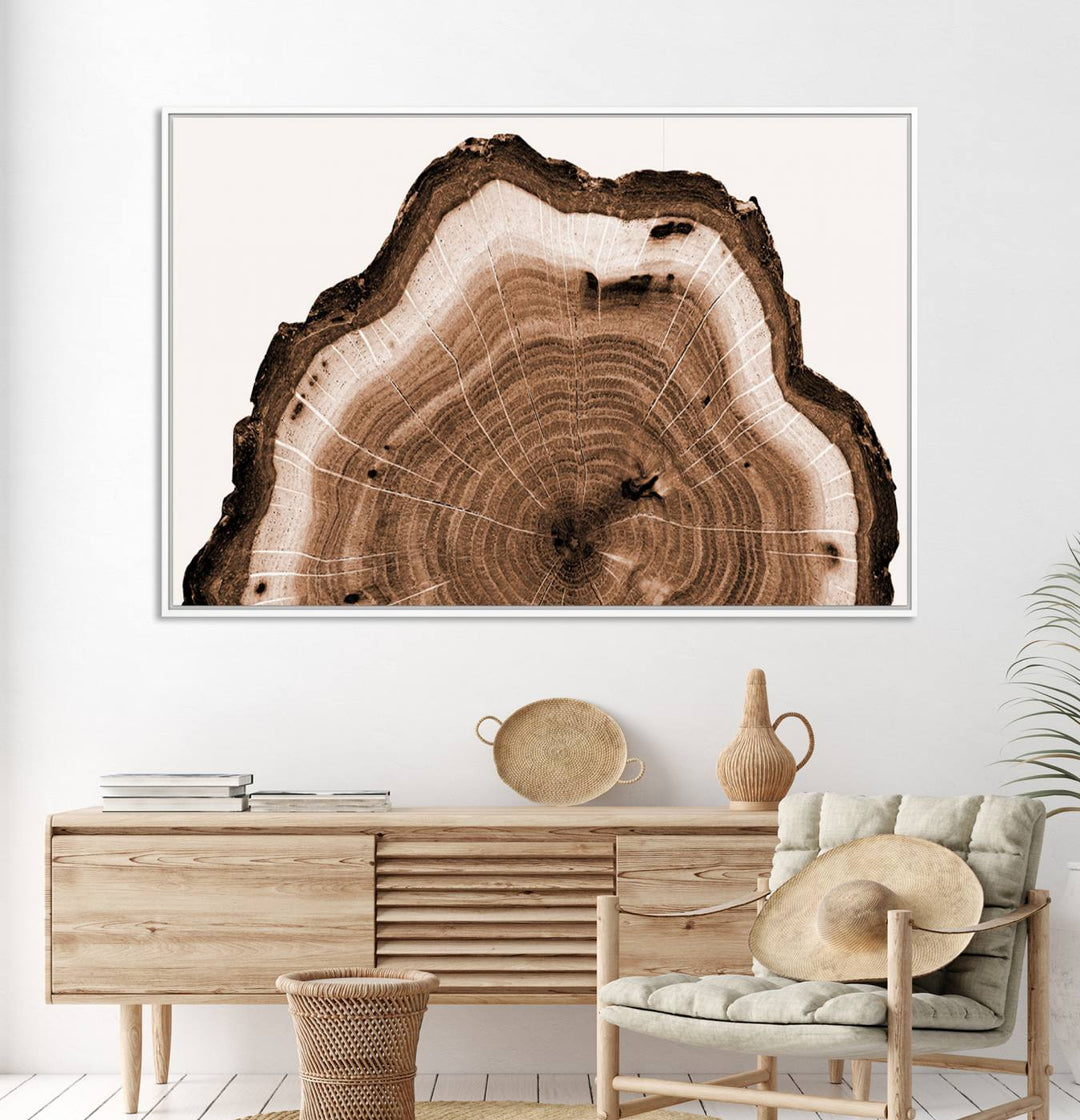 Close-up of the Rustic Wood Rings Wall Art featuring detailed tree rings and natural texture on a plain white background.