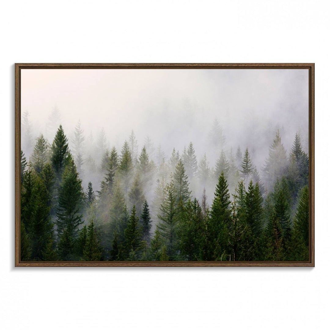 A serene, foggy evergreen forest creates a mysterious atmosphere, ideal for premium canvas wall art.