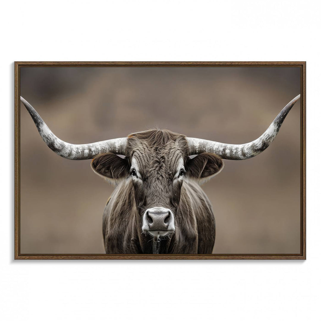 A close-up of a longhorn bull facing forward is featured in the Framed Texas Test-1, set against a blurred brown background.