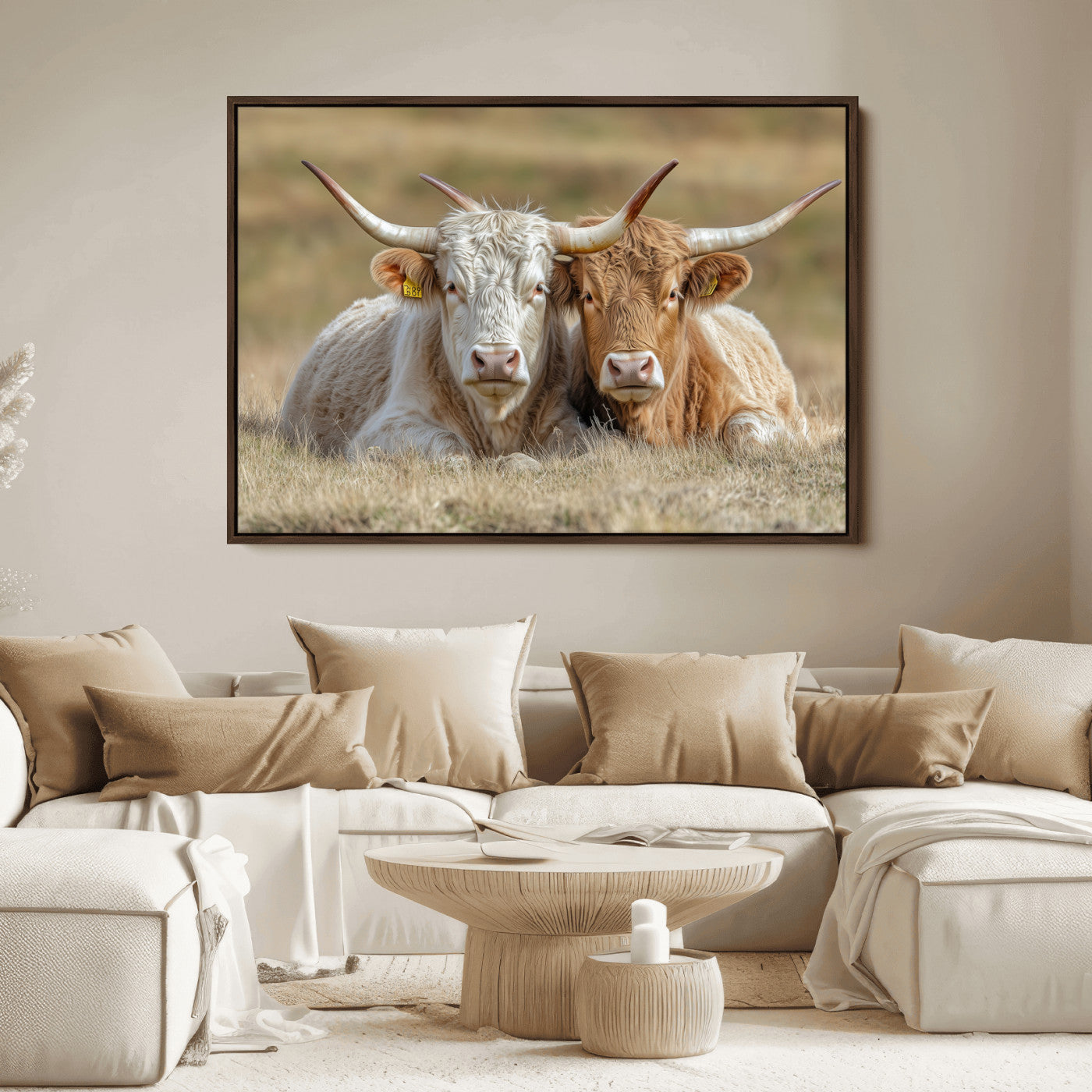 Two cows laying closely in a dry grassy field, captured in soft light, perfect for rustic farmhouse or western style home decor.