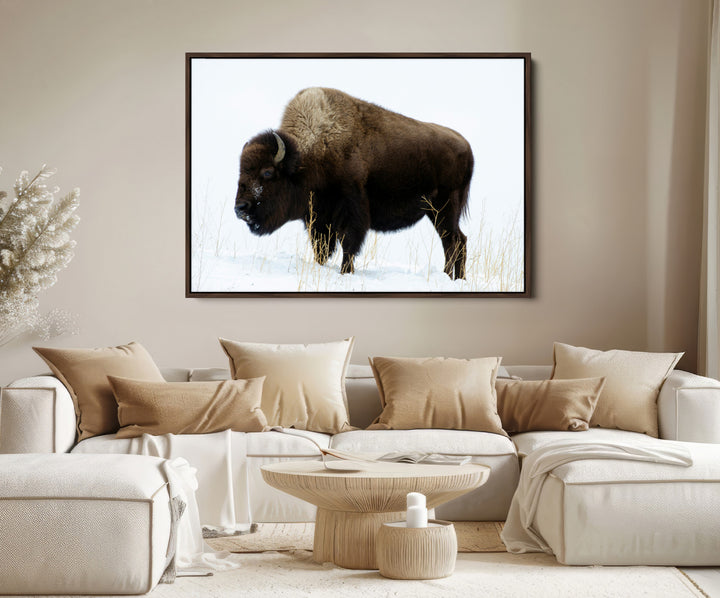 Bison Photography Wall Art Canvas Print, Framed Western Wildlife Art Picture Print, Buffalo On Snow Perfect Western Decor Artwork