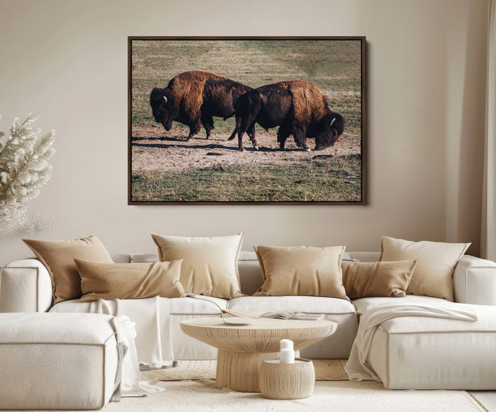 Bison Photography Wall Art Canvas Print, Framed Western Wildlife Art Picture Print, Modern Ranch Perfect Western Rustic Decor Artwork