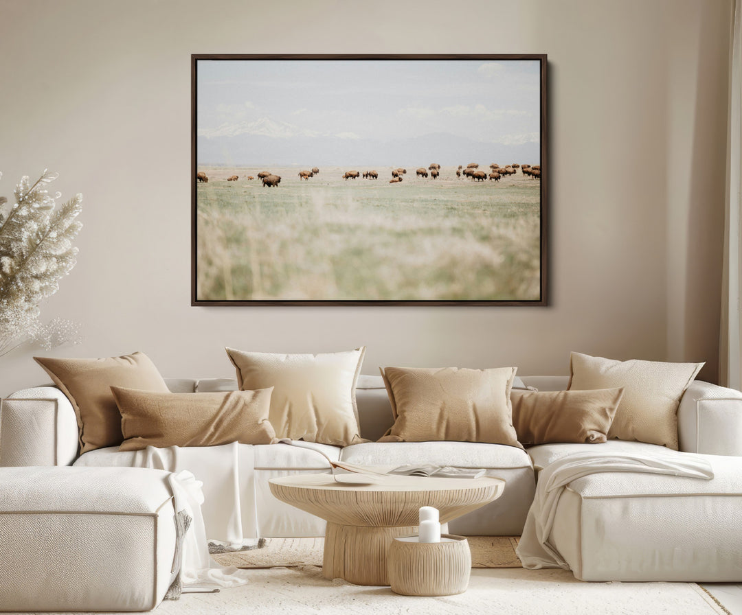 Bison Herd Wall Art Canvas Print, Framed Western Art Picture Print, Bison Perfect Ranch Decor Artwork